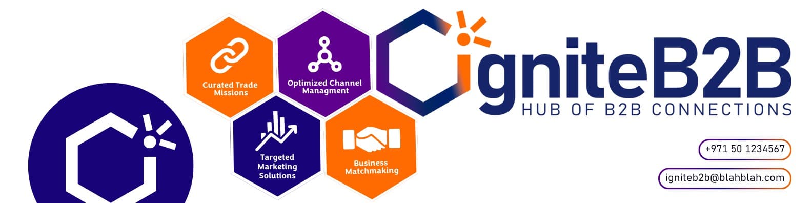 IgniteB2B LinkedIn banner with service icons and contact details