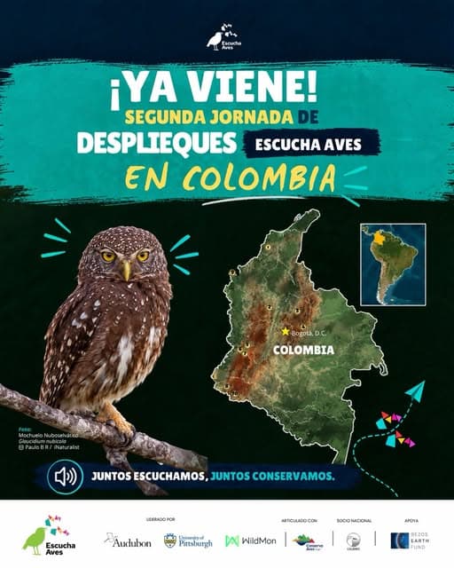 WildMon social post